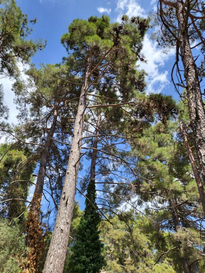 Theplatres.Nest Villa Kültér fotó